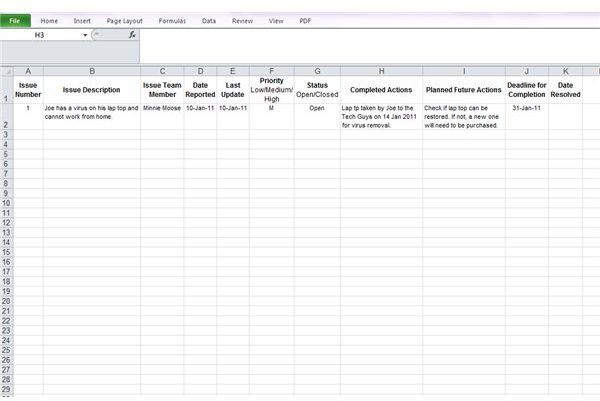 Project Issue Template by Lin Parker