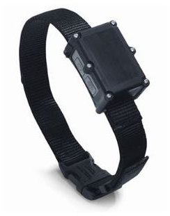 RoamEO GPS Dog Collar