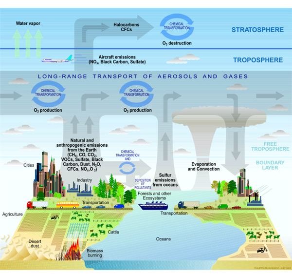 How the Environment Affects the Health, Safety and Nutrition of the Child