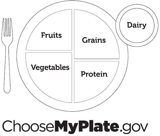 Blank Food Pyramid Chart