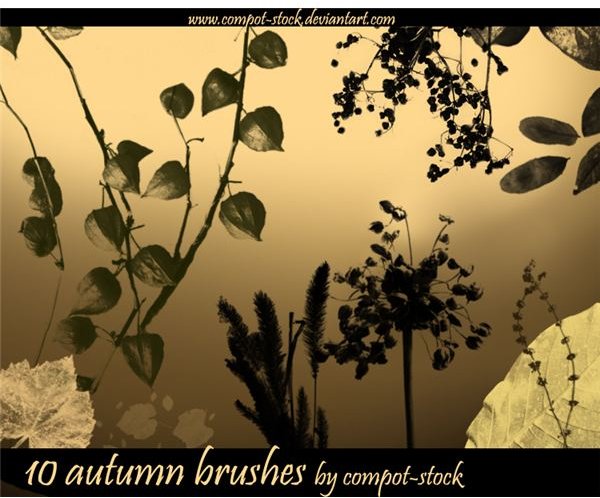 autumn brushes by compost stock