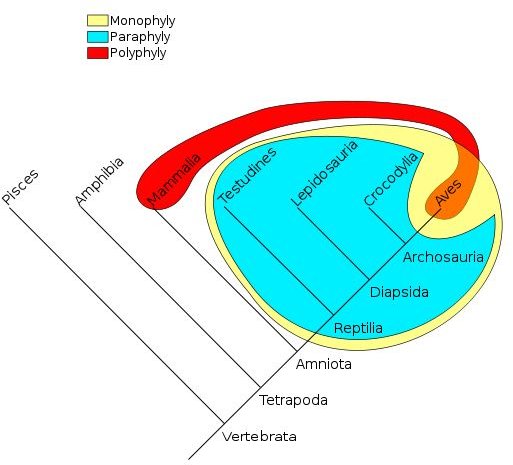 sitemap