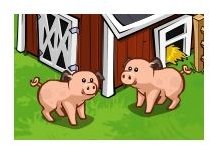 Two Adolescent Pigs