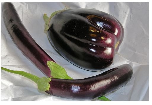 eggplantbychrishutson