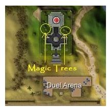 Magic Trees