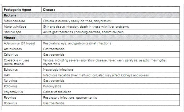 Diseases Caused by Beach Pollution Pathogens -1