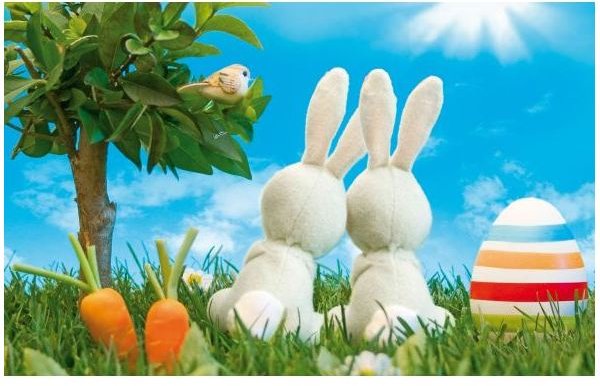 Easter Bunny Love Wallpaper
