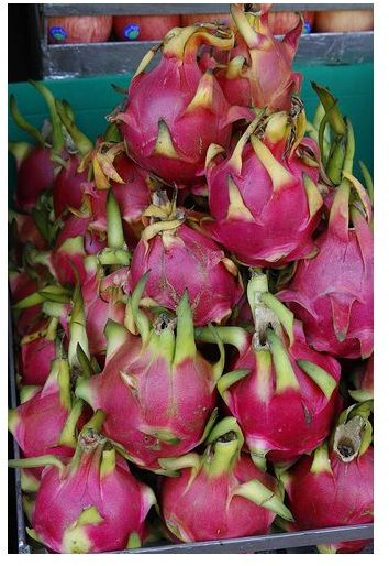 Why Learning How to Prepare Dragon Fruit is Important