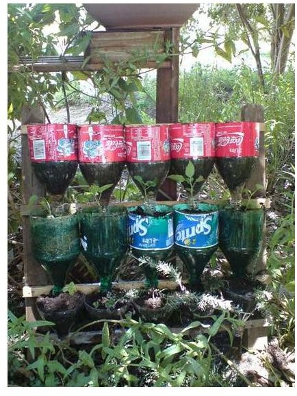 Repurposing for the Garden: Using Unwanted Items and Household Waste for the Garden