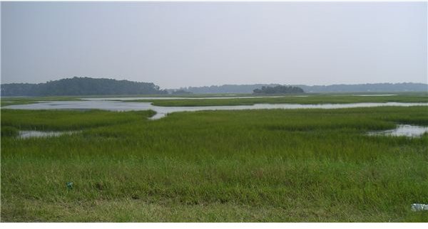 Picture of a Salt Marsh near Savannah GA USA