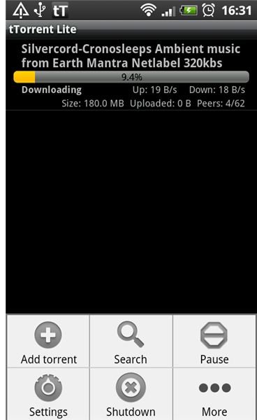 tTorrent Download Screen