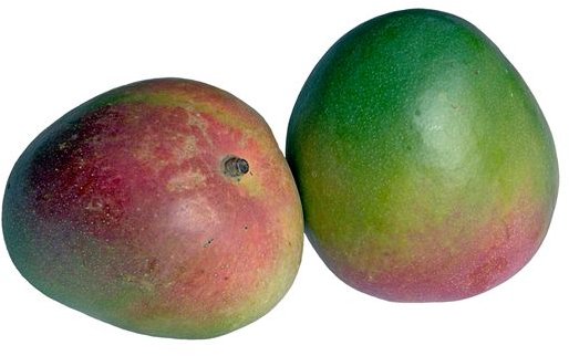 Mango Nutrition Facts - What are the Health Benefits of the Mango Fruit?