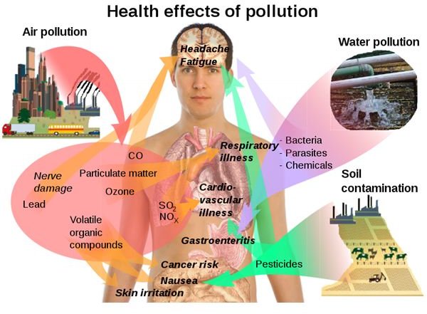 800px-Health effects of pollution.svg