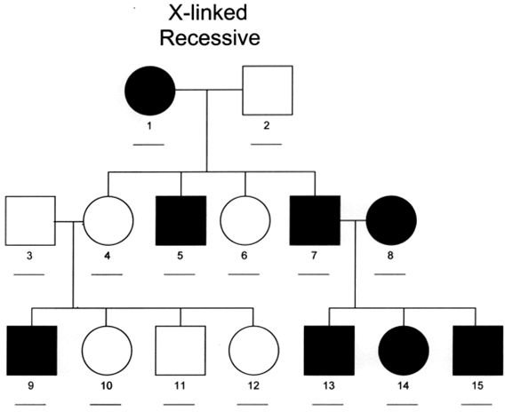 Prepare A Pedigree Chart For Blood Group