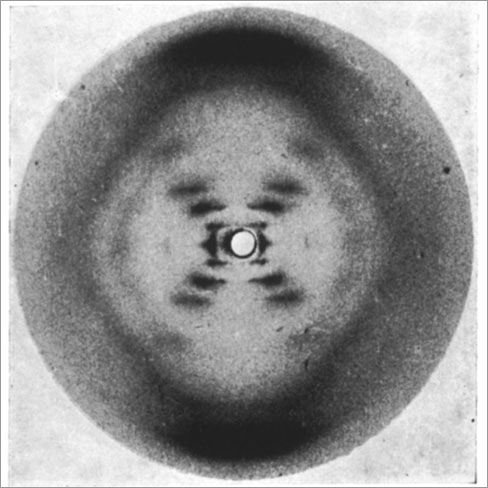 What Did Rosalind Franklin Discover? - The Biography of Rosalind Franklin