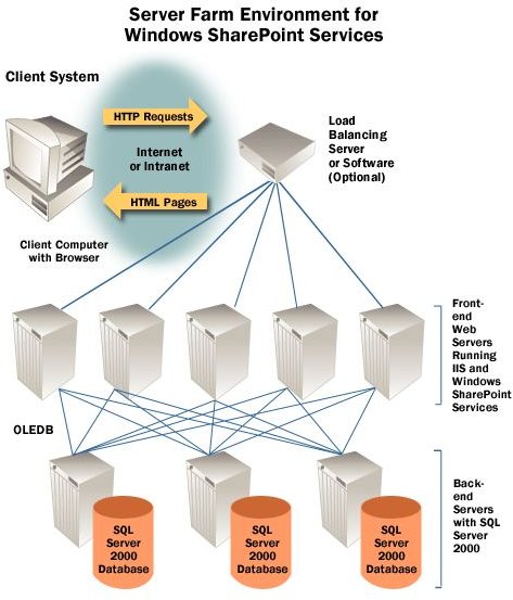 Server Farm Environment