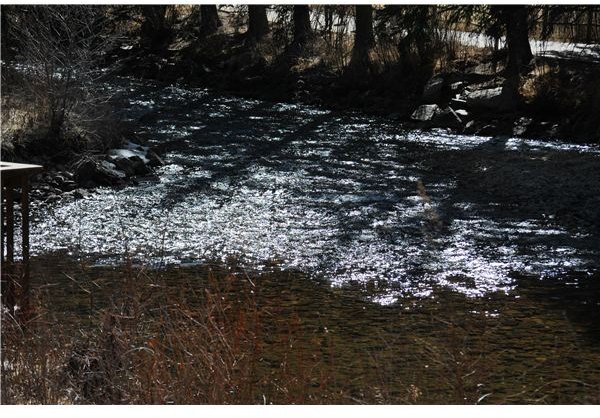 Shadows on the Water