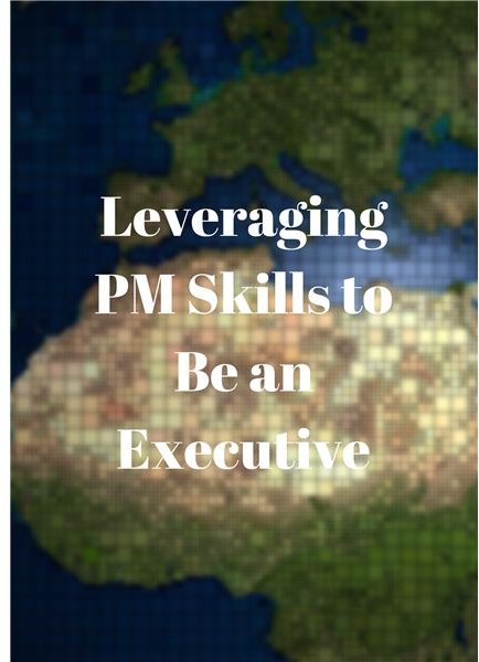 Could Your Project Management Skills Land You an Executive Role?
