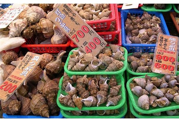 What Everybody Ought to Know About Nutrition Facts for Whelk as a Food Source