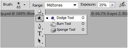 Settings of the Dodge Tool for highlighting