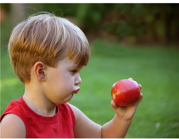 Two Dozen Ways to Explore the Five Senses in Preschool: Activities & Lessons