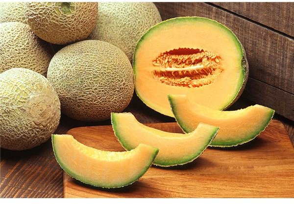 Cantaloupes