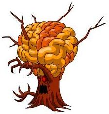 Guide to Neopets Brain Tree Quest Answers