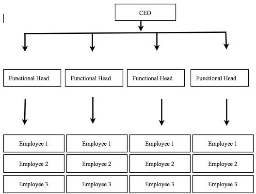 What Are the Different Types of Organizational Charts?