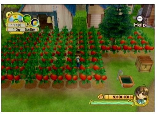 Harvest Moon Tree of Tranquility screenshot