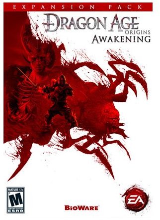 Dragon Age: Awakening Review - What's New in Dragon Age: Awakening