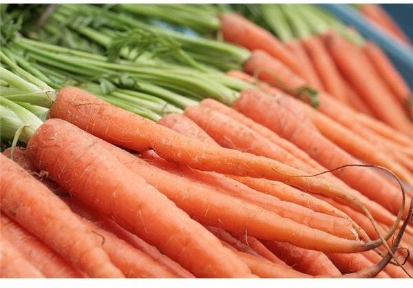 Organic Vegetables Promote Health: So Growing Carrots Organically Is One Way of Getting the Benefits