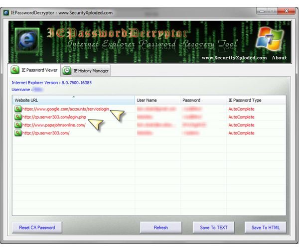 Figure 2: Decryptor Password Listting