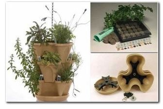 Herb Kits Review: Easy Kits for Growing an Indoor Herb Garden