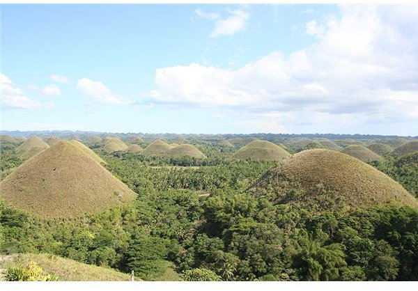 800px-IMG 0919 Chocolate Hills