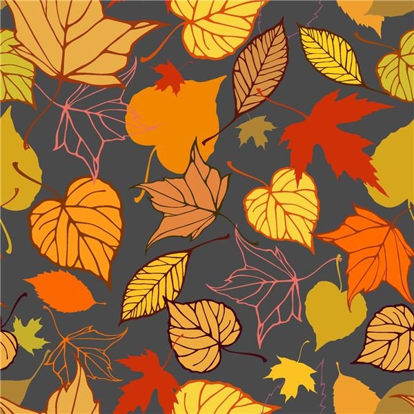 Preschool Fall Theme Poem Fingerplays And Activities With Leaves Brighthub Education