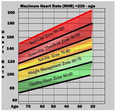 https://www.google.com/imgres?imgurl=https://www.fitness-lifestyle-solution.com/images/heart_rate_chart.png&imgrefurl=https://www.fitness-lifestyle-solution.com/target-heart-rate.html&usg=__vHGyyqHlQZ_BHqx7dXMPRoqel1U=&h=369&w=382&sz=64&hl=en&start=123&zoom=1&tbnid=EcWJMplZ2l3a8M:&tbnh=163&tbnw=169&prev=/images%3Fq%3Dheart%2Brate%2Bmonitors%26um%3D1%26hl%3Den%26rlz%3D1R2ACAW_enUS383%26biw%3D1579%26bih%3D659%26tbs%3Disch:1&um=1&itbs=1&iact=rc&dur=141&ei=OaAbTcjPPIKnnAeDy4m8Dg&oei=IqAbTbWwOdP-nAeDj9zyDQ&esq=6&page=6&ndsp=23&ved=1t:429,r:17,s:123&tx=83&ty=55