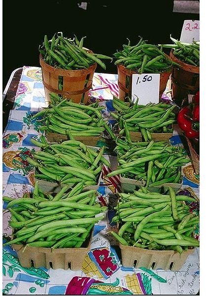 Learn How to Cook Fresh Green Beans:  One Part of Quick, Easy and Healthy Meal Planning