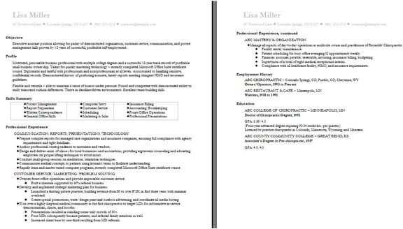 resume templates for microsoft word 2007