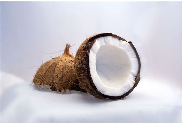 Oil Pulling with Coconut Oil: Treating and Preventing Gum Disease