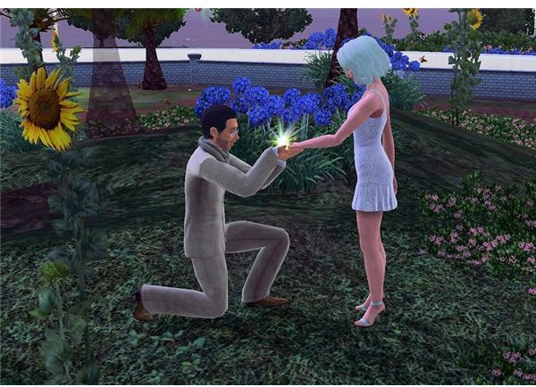 The Sims 3 proposal