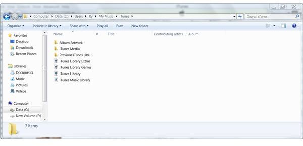 Figure 1 - iTunes Library Folder
