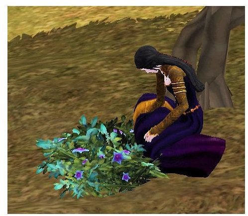 The Sims Medieval Wizard Collecting Herbs