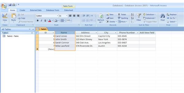 Basic Terms and Concepts for Creating Your First Access 2007 Database