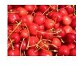 Health Benefits of Cherry Juice:  Learn All About Cherry Juice Health Benefits