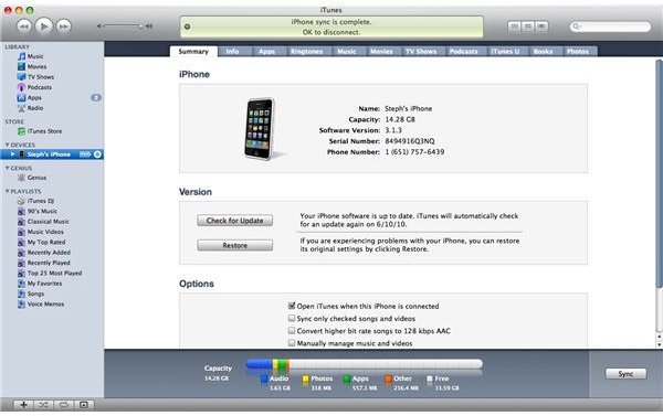 View Disk Space from iTunes