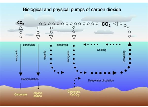 CO2 Pump