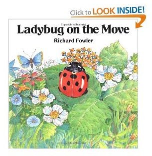 Ladybug on the Move by Richard Fowler
