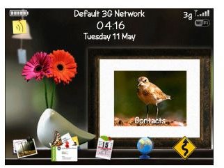 FREE Flower and Little Cute Bird on the Desk Theme-pic