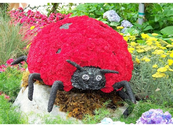 Elementary Lesson Plan for the Grouchy Lady Bug by Eric Carle