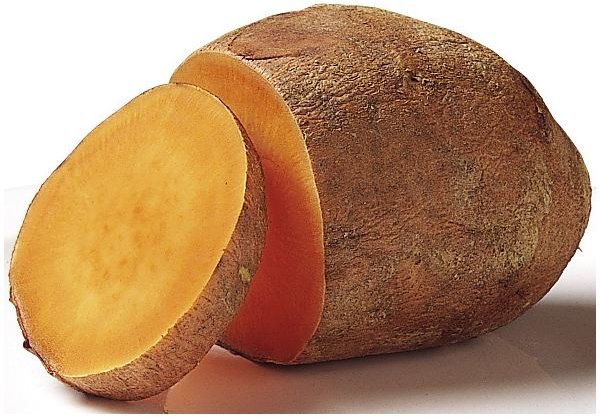 Sweet Potato